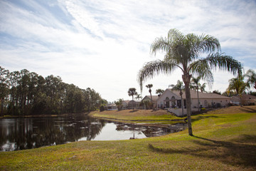 Obraz premium row of houses by a pond