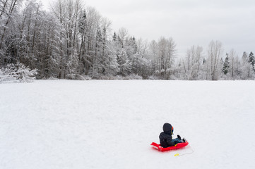 Fototapeta na wymiar Young child sitting on a red sled in a snow covered park landscape