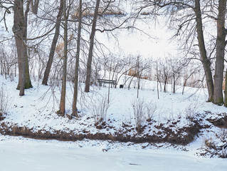 View of a frozen river in a winter park