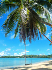 Fototapeta na wymiar Rope swing at the beach on Nananu-i-Ra island, Fiji