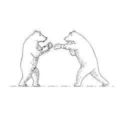 Two Grizzly Bear Boxers Boxing Drawing