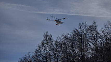 Fototapeta na wymiar small helicopter flies over trees