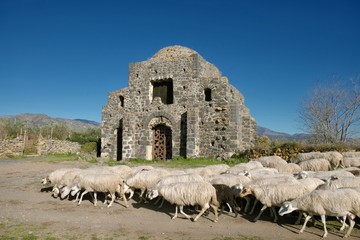 Fototapety na wymiar - Fototapeta24.pl