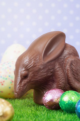 Chocolate Easter bilby against a polka dot background. Australian Easter concept.