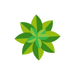 Fototapeta na wymiar Eco icon green leaf vector illustration isolated.