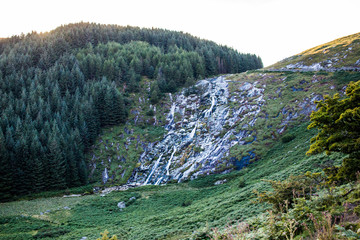 Stony small Watherfall at a green hill covered in fir trees, Glendalough, Wicklow Mountains, Ireland
