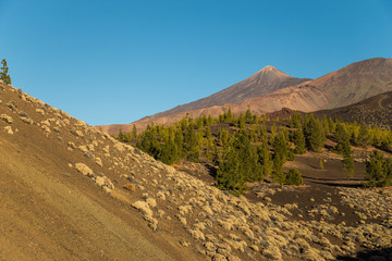 Teide National Park, Tenerife, Canary Islands - A picturesque view of the colourful Teide volcano, or in spanish 'Pico del Teide'. The tallest peak in Spain with an elevation of 3718 m