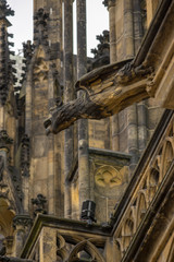 Naklejka premium Gargoyle of Prague Cathedral, Czech Republic