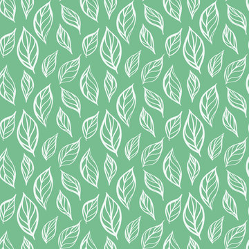 Hand drawn leaf seamless pattern. Tea leaves vector illustration. Repeatable background with botanical motif.