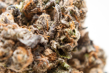 Cannabis Nug - Strain: Blackberry Pie