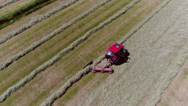 Aerial top down view of red tractor lining up dried grass on beautiful sunny summer day purpose of lining up the grass is for pickup then hay will be taken back to farm where it is stored as fodder 4k
