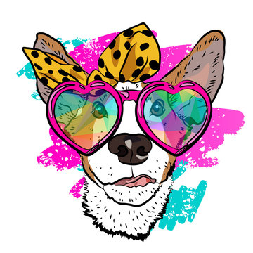 Ð¡ool summer print for your T-shirt with fashionable dog. Colorful vector design.