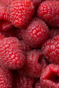 Heap of Fresh Ripe Vibrant Red Raspberries. Macro Photography. Top View Overhead Shot Visible Texture. Natural Food Background Pattern. Wallpaper Blog Website Banner Template.