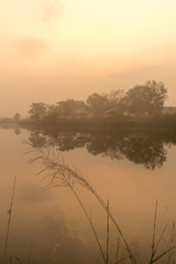 sunrise morning with a golden pond and water reflection in a mist