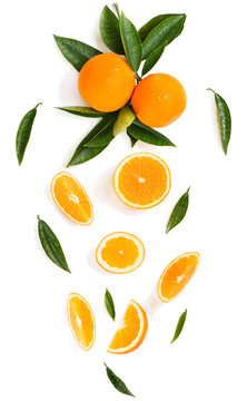 Twig with orange fruits and slices.