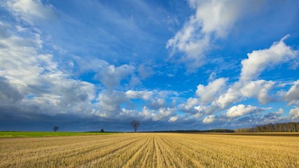 Obraz premium Stubble field landscape under cloudy sky