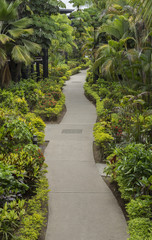Green Pathway