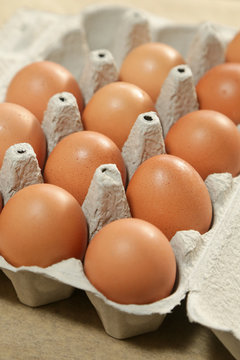 
Cardboard package of organic eggs