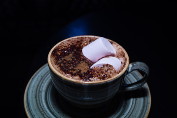 Marshmallows on Hot Chocolate, Ready for snack