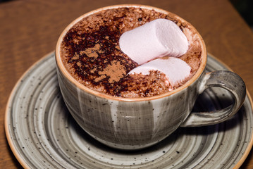 Obraz na płótnie Canvas Marshmallows on Hot Chocolate, Ready for snack