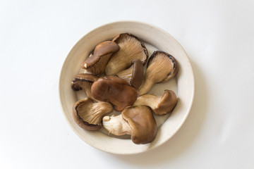 Small dish of Pleurotus ostreatus Oyster Mushrooms, food ingredient, isolated on white, centered, horizontal aspect