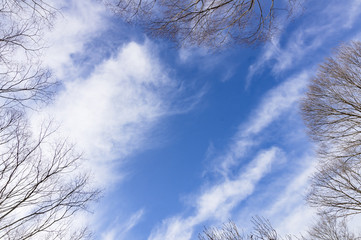 冬空のフレーム