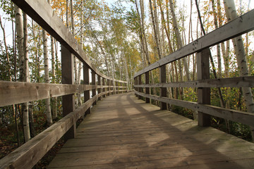Obraz premium Boardwalk