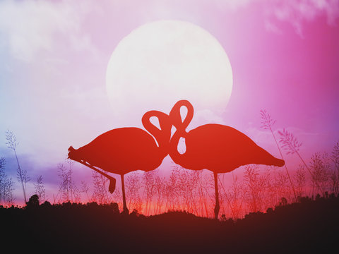 Silhouette of romantic flamingos at sunset.
