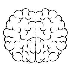 brain human isolated icon vector illustration design