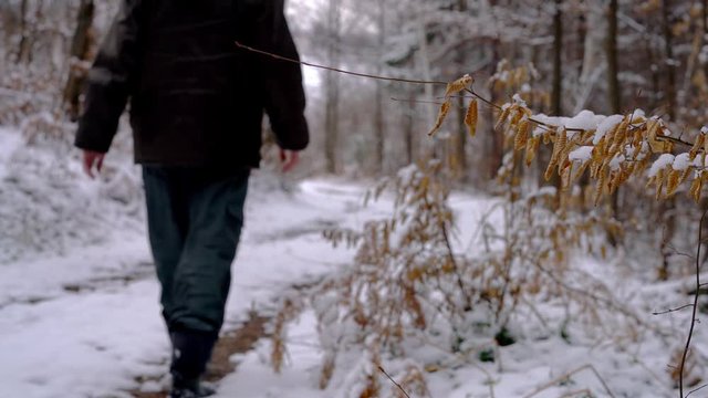 Man goes through snowy forest path - (4K)