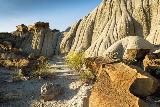 Erosian at Makoshika State Park, Montana, USA