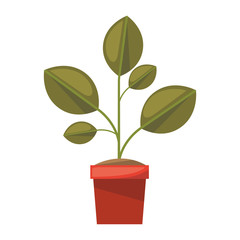 Fototapeta na wymiar plant in pot isolated icon vector illustration design