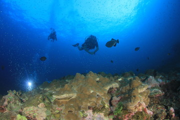 Naklejka na ściany i meble Scuba diving