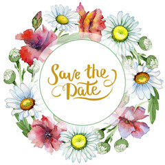 Wildflower chamomile flower wreath in a watercolor style. Full name of the plant: chamomile. Aquarelle wild flower for background, texture, wrapper pattern, frame or border.