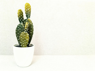 Artificial cactus in white ceramic pot © Studio Light & Shade