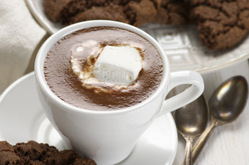 Hot chocolate and chocolate crinkle cookies