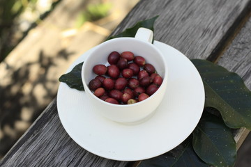 coffee cup full of raw coffee beans