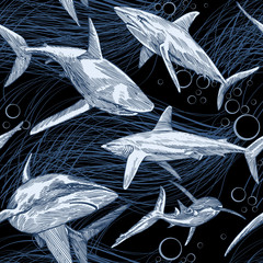 Shark Vector Pattern with hand drawn underwater Sea Fish, Contemporary Background and print design