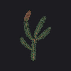 Illustration of plant