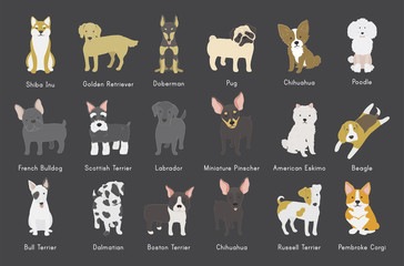 Illustration of dog breeds - obrazy, fototapety, plakaty