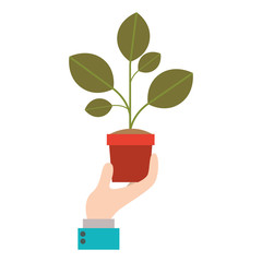hand with plant in pot isolated icon vector illustration design