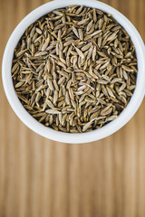 Closeup of cumin seed