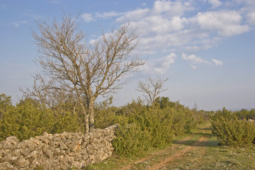 Kroatische Landschaft
