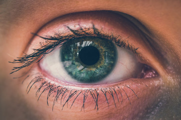 Detailed view of open eye of woman