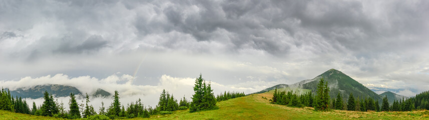 Fototapeta na wymiar Panorama of the mountain glade in Carpathians in rainy weather