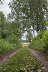 Fototapeta na wymiar Old grassy path to lake