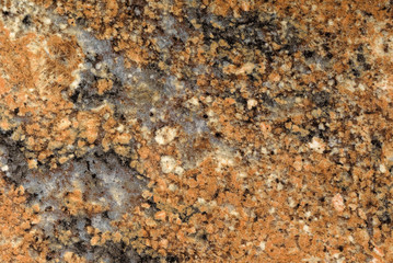 tile background