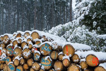 Holzpolter im Winter