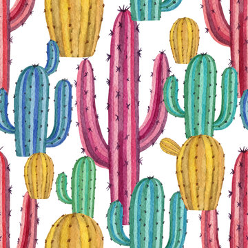 Watercolor vector seamless pattern of cacti and succulent plants isolated on white background.