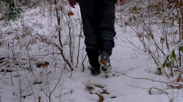 Man touches snowy branches and goes in the forest - (4K)